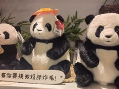 -轩客会(熊猫书店)