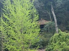 -金堂县云顶石城风景区