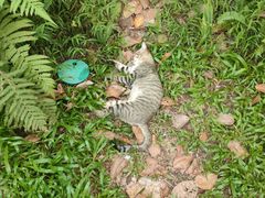 -人民公园(罗湖区)