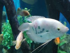 -石林冰雪海洋世界