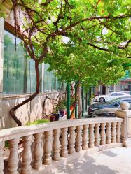 -北京俪婴妇产医院(朝阳大悦城店)