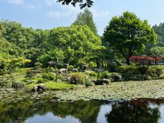 -杭州植物园