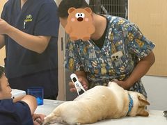 -康成宠物医院24H·CT·核磁共振