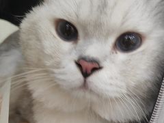 -天宠宠物医院24小时·急重症诊疗中心·全科·腔镜特色(和平分院)