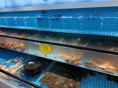-王潮活海鲜自助·蒸汽海鲜