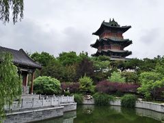 -迎泽公园