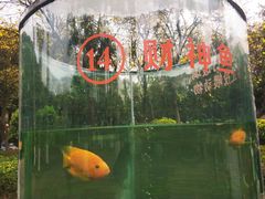 -南宁市动物园