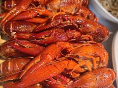 -肥肥虾庄·金牌油焖大虾(沙湖店)