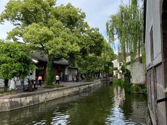 -鲁镇