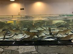 -沙田台山海鲜·酣客酒窖