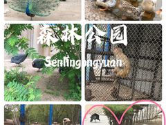 -森林公园(尖草坪区)