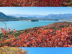 -北京十三陵国家森林公园蟒山景区