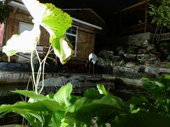 -丽泽山庄·生态怀柔菜·虹鳟鱼(红螺寺店)