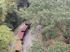 -广州长隆野生动物世界