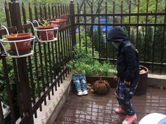 景观位-风车面包
