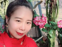 -北京植物园-展览温室