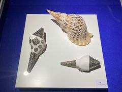 -贝壳王国博物馆