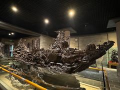 -乐山乌木文化博览苑