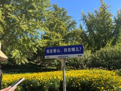 -香山公园