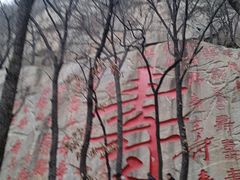 -沂蒙山旅游区龟蒙景区