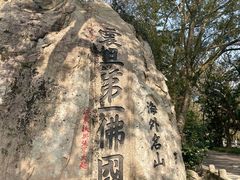 -枣子树·素食餐厅(普陀山店)