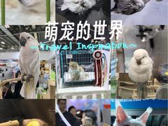 -重庆国际会议展览中心