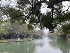 -西溪国家湿地公园