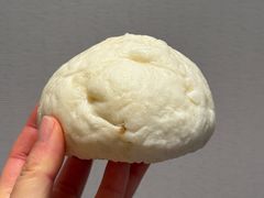 经典特色竹笋肉包-清泉阁包子饺子·刀削面(五一店)