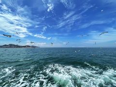 -海驴岛(荣成市)