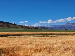 -扁都口生态休闲旅游区