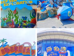 -海合安武汉极地海洋公园