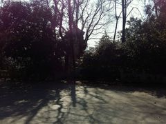 -赭山公园