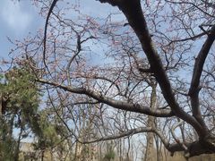 -元大都城垣遗址公园