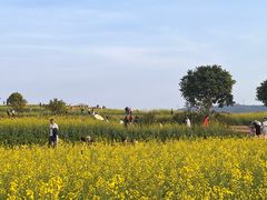 -光明小镇欢乐田园