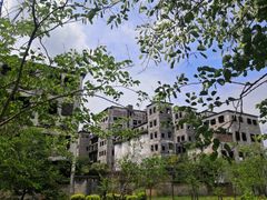 -广东花都湖国家湿地公园