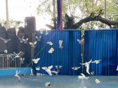 -泉州海丝野生动物世界