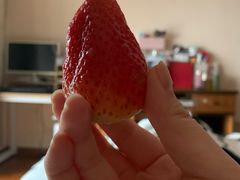 -鲜丰水果(明桂南苑店)