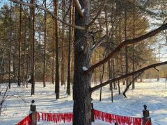 -北极村旅游风景区