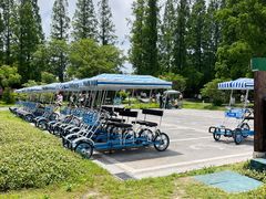 -黄海国家森林公园