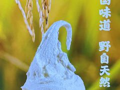 -野人牧坊Gelato(苏州中心店)