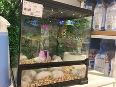 -狗道宠物(常熟印象城店)