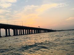 -宝安西湾红树林湿地公园