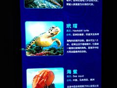 -哈尔滨波塞冬海底世界