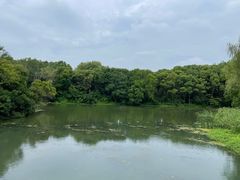 -昆山城市生态森林公园