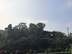 -广州莲花山旅游区