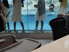 -帝企鹅自助餐厅•儿童岛•真企鹅(长隆企鹅酒店)