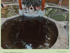 -碧水湾温泉