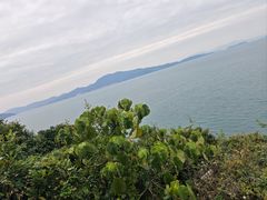 -杨梅坑