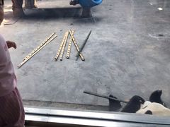 -石家庄市动物园