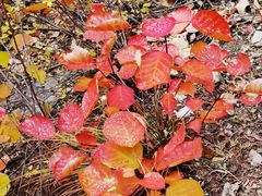 -北京上方山国家森林公园